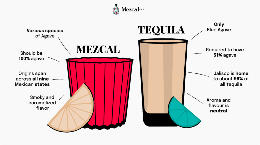 Mezcal Vs Tequila What Is The Difference Peak Beverage   Mezcal Vs Tequila Infographic 2 1024x573 