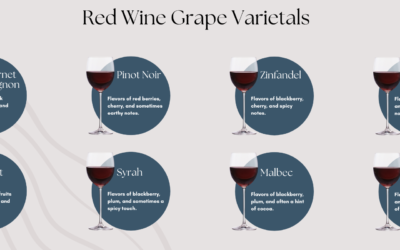 A Comprehensive Guide to Red Wine