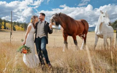 Colorado Wedding Venues with Live Animals